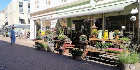 Michael Find, Blomsterhandler i Helsingør