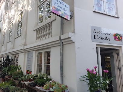 Nicoline Flowers, Blomsterhandler i Lyngby-Taarbæk