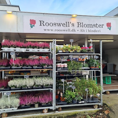 Rooswells Blomster, Blomsterhandler i Helsingør