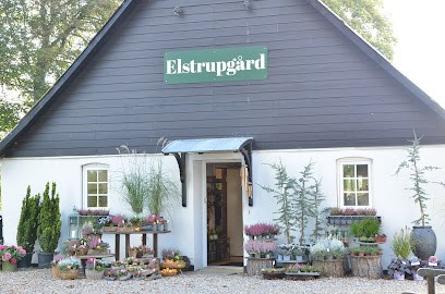 Elstrupgaard, Blomsterhandler i Aarhus