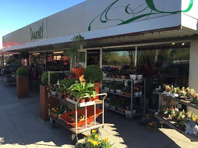 FriskeBlomster.dk, Blomsterhandler i Randers
