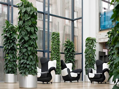 FloraDin kontorbeplantning og planteservice, Blomsterhandler i Slagelse