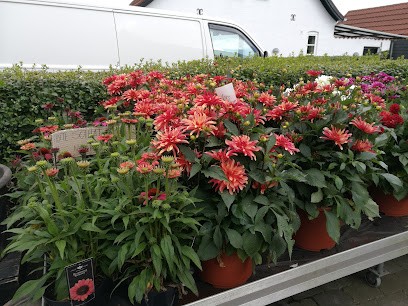 Blomsterværkstedet, Blomsterhandler i Svendborg