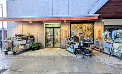 Frøken Caia's blomster oase, Blomsterhandler i Helsingør